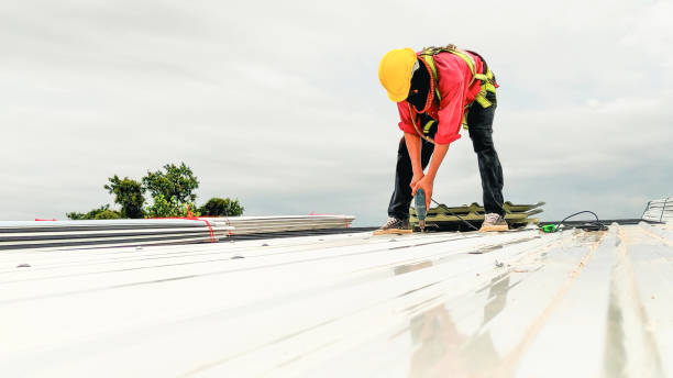 Best Roof Installation  in Independence, MN